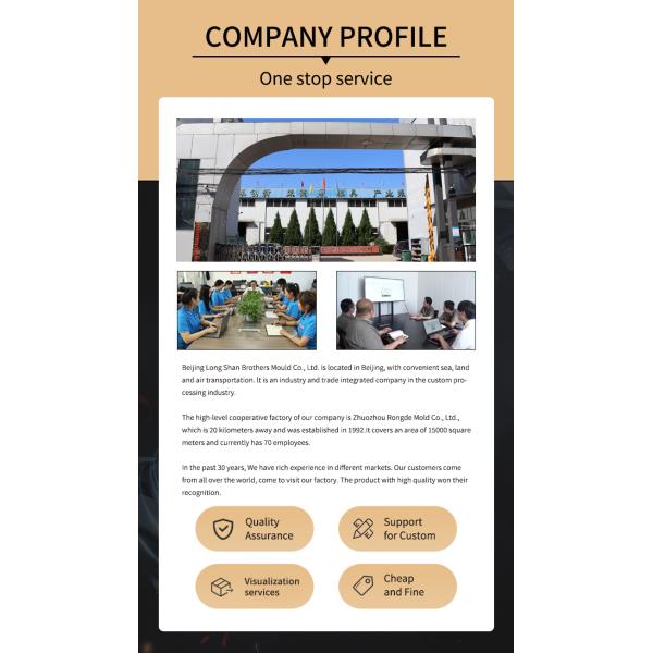 Tolerance 0.01mm Custom Design Die Casting Molding Manufacture Customized Colors Mould Service Mold Maker