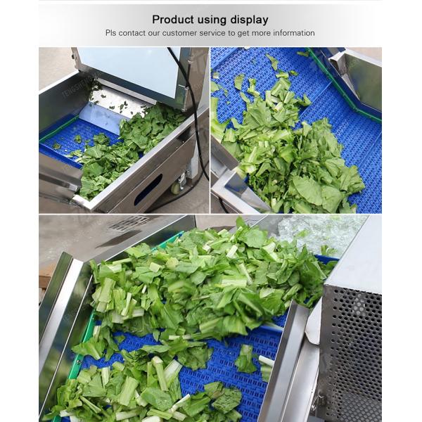 Washing Hoisting machine Fruit Orange Vegetable Apple pineapple Ginger Potato Carrot Sweet potato Yam cucumber chili onion okra Lettuce Cao Xin Baby