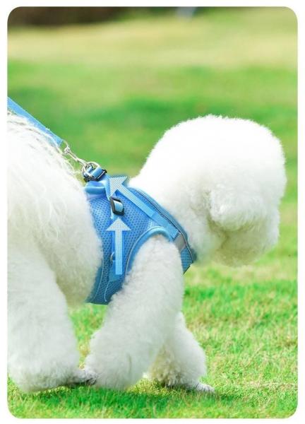 Polyester Mesh Breathable Pet Harness Vest Tensile Force Is Divided Evenly
