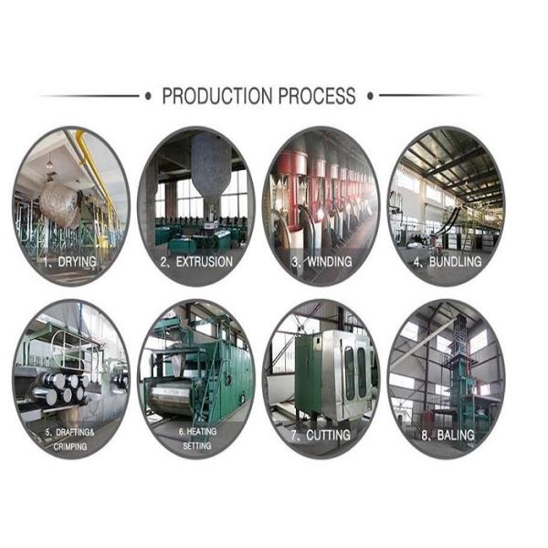 1.2D-50D Solid Polyester Staple Fiber HS Code 55032000 For Non - Woven Fiber