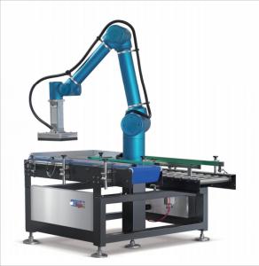 Quality Revolutionize Your Packaging Process with Advanced Robots Automation Integration by Robot carton packer for sale