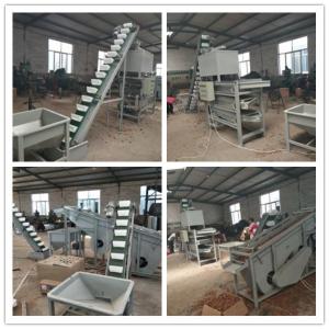 China walnut cracker, walnut sheller, walnut processing machines on sale