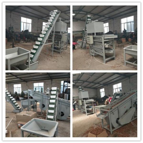 Buy walnut processing line, walnut shelling machine, walnut cracker at wholesale prices