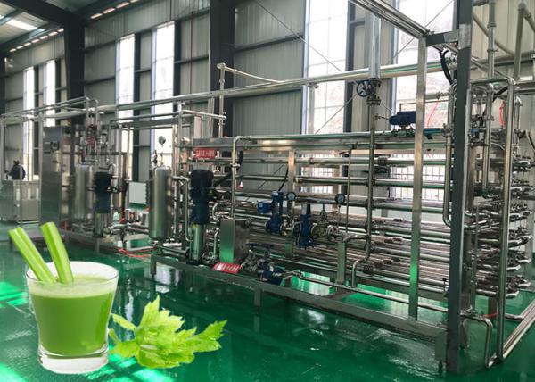 Buy Safety Vegetable Processing Line Stable Performance Celery Processing Equipment at wholesale prices