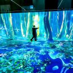 Virtual Learning Spaces Immersive Classroom Immersive Education Application