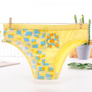 Quality Funny Printing Nylon China Supplier Lady Underwear for sale