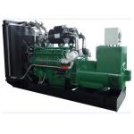 Biogas Driven Generator Set With High Power And Maximum Efficiency