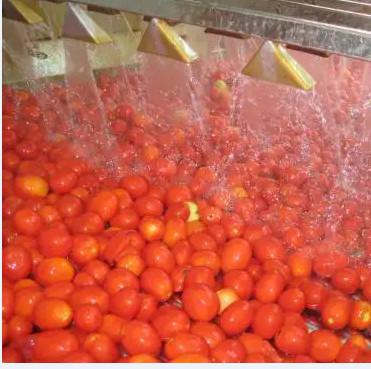 Buy Automatic Tomato Paste Processing Line High Speed at wholesale prices