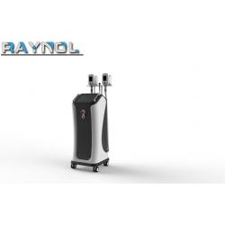 China Vertical 2 Handpieces Cryolipolysis Slimming Machine for Cellulite Reduction for sale