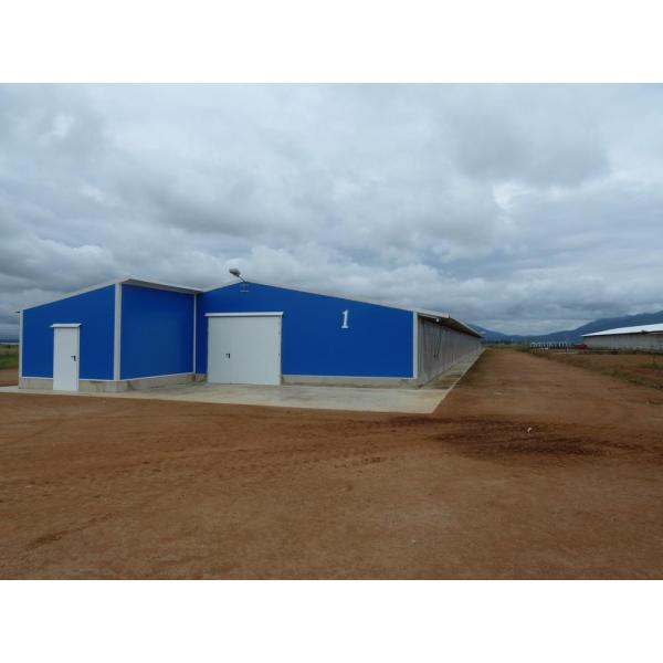 Industrial Steel Structural Buildings Prefabricated Steel Poultry House Customized