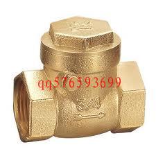 Buy WD-6103  Brass spring check valve at wholesale prices