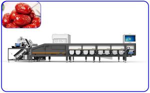 Quality A Machine That Automatically Sorts Jujubes According To Their Size 8 Lanes Dates Sorting Machine for sale