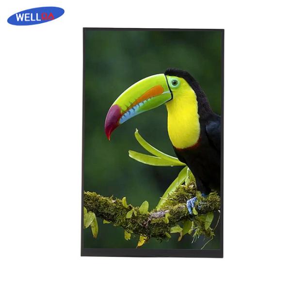 Buy Vibrant Visuals LCD Display Module 16.7M 10.1 TFT LCD Monitor at wholesale prices