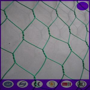 Quality Plastic coating chicken wire mesh / wire netting fence 20 gauge for landscape for sale
