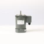 Single Phase 110V / 220V Micro AC Variable Speed Gear Motor With Speed