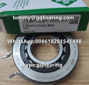 China Nylon Cage Cylindrical Roller Bearing VW AG INA F-604757.04.NU - BNS - HLC With Snap Ring on sale