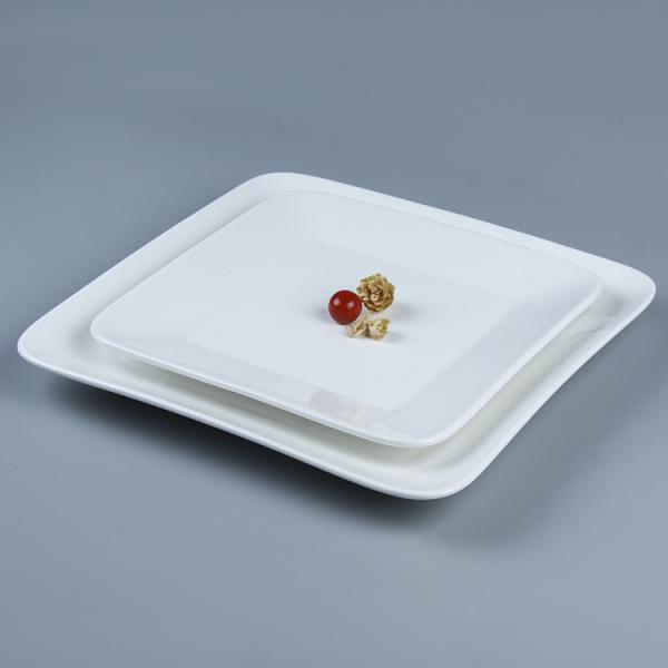 dinner plate salad plate