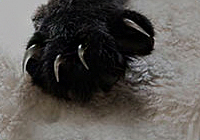 MEOW LOVE PET Wear-Resistant Environmental Protection Round Cat Nest Type Cat Scratch Board