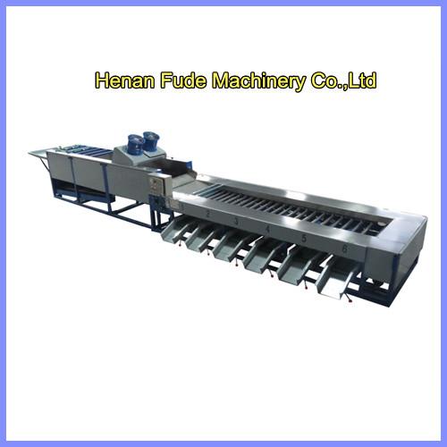 Buy Mango cleaning and sorting machine, mango washing and grading machine at wholesale prices