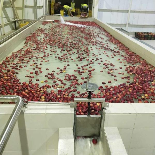 Energy-saving And Efficient Industrial Applesauce Processing Line Machine 4000T