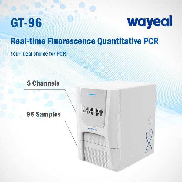 Buy Real Time Lab Fluorescence Quantitative PCR Analyzer For Nucleic Acid Test at wholesale prices