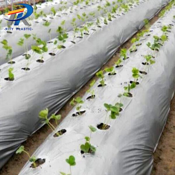 PE Agricultural Ground Covering mulch film Silver/Black 2 sides weeding Plastic reflective Mulch Film