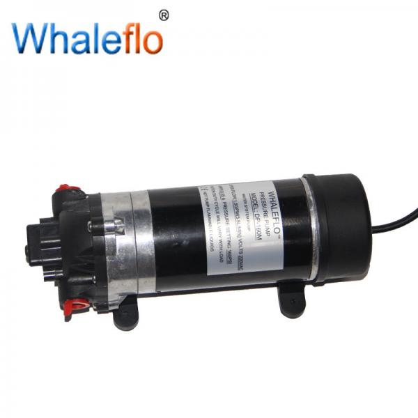 WHALEFLO DP-160M 220V AC 160psi 12v dc high pressure car wash water pump cleaner
