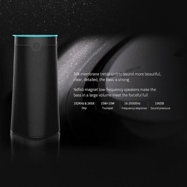 Amazon Alexa Smart AI Speaker Digital Class D Amplifier Speaker Passive Type