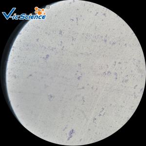 Quality Customized Teaching Histology Glass Slides Set 93pcs VIC07 Odm Service for sale