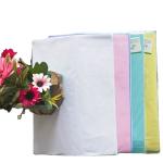 Continuous Computer Printing Paper Roll 2 Ply NCR Carbonless Paper in Customized