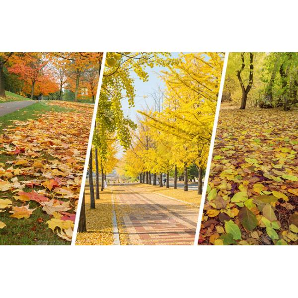 20V Cordless Air Leaf Blower Gardening Tool Li-Ion Battery 16000 r/min