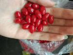 Vegetable Gelatin Soft Capsule Automatic Vgel Encapsulation Machine With Servo
