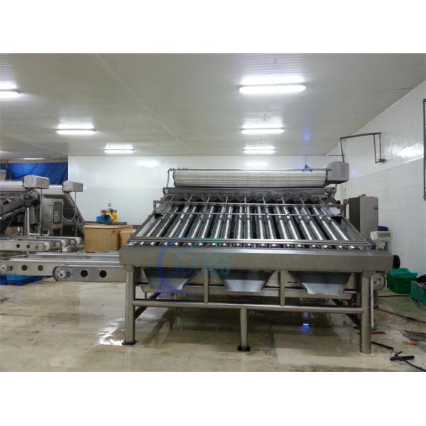 1500KG Fish Shrimp Grader Machine Multipurpose For Industrial