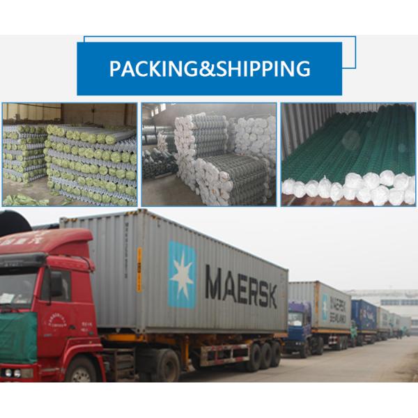 Factory Airport 20*20mm 6 Gauge PVC Coated Chain Link Fencing