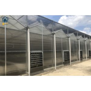 Quality UV Resistant Twin Wall Polycarbonate Greenhouse Modern Farms Greenhouse for sale