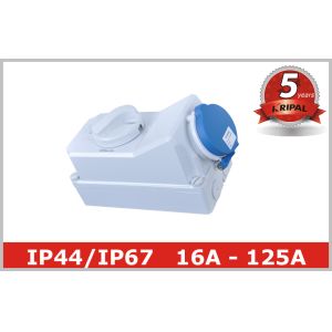 Mechanical Interlock Industrial Power Switched Sockets , Single / Three Phase