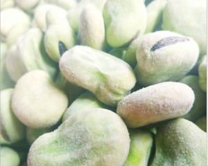 Quality High Protein Fresh frozen Broad Beans Natural Green Foods For Supermarket for sale