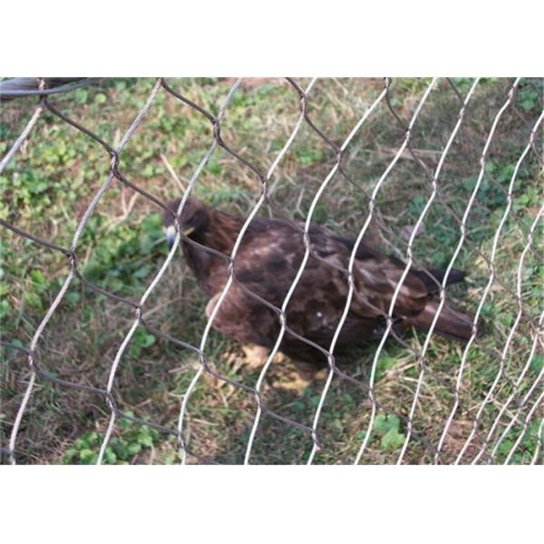 Customized 60x60mm Stainless Steel Aviary Netting 60 Degree Angle Rustproof