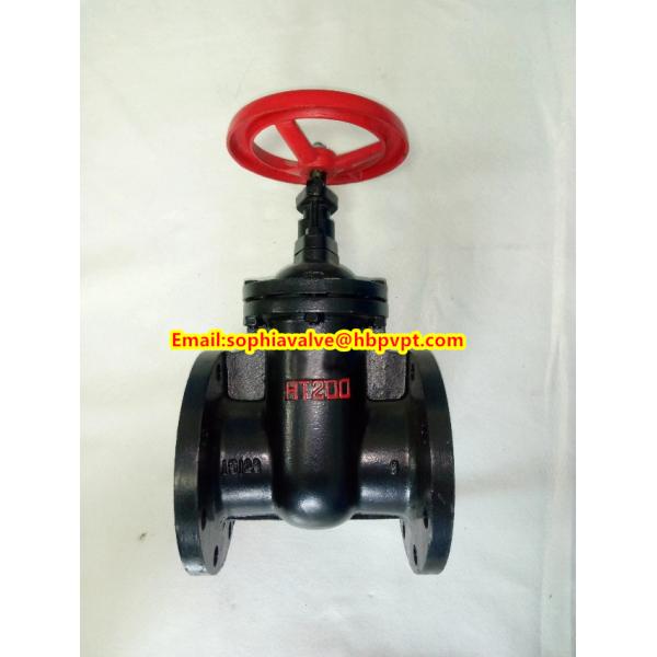 BS flanged gate valve with metal seal