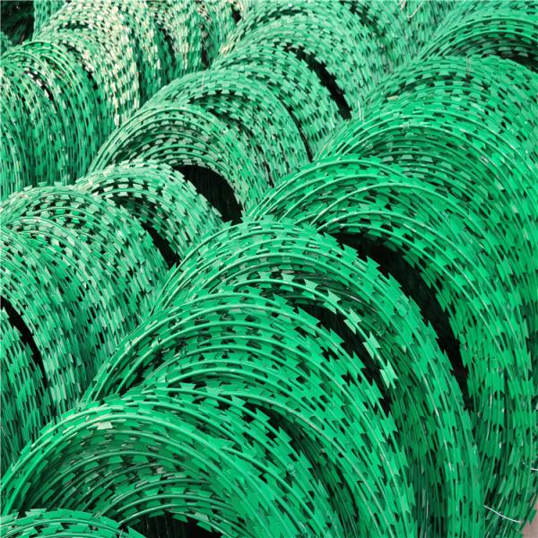 PVC Coated Razor Barbed Wire 450MM Coil BTO 22 0.5mm thickness