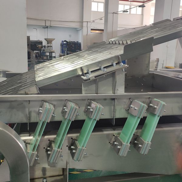 Wolfberry Sorting Machine with Advanced Imaging and Spectroscopy Technology