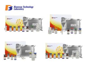Quality Sandwich Type Mouse Leptin Receptor ELISA Test Kit Highly Sensitive With Oem Service for sale