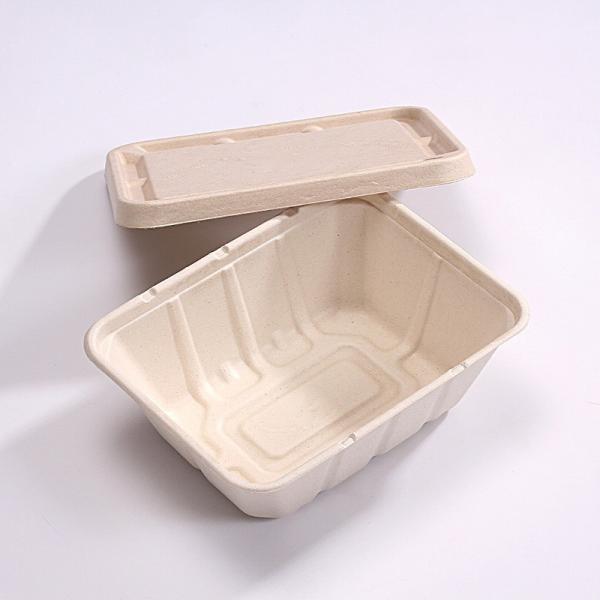 Buy Reusable Molded Pulp Packaging Compostable Printing Customized at wholesale prices