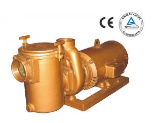 China CP Series Brass Centrifugal Swimming Pool Pump on sale