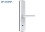 Multi Functional Alexa Enabled Smart Lock With Numeric Keypad Hidden IC Card