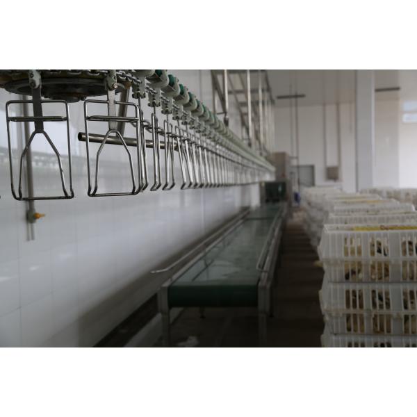 1000-2000BPH Automatic Poultry Slaughterhouse Chicken Slaughtering Machine