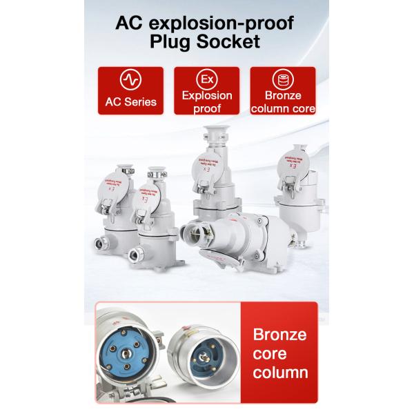 ATEX Explosion-Proof Plug and Socket 16A 220V 1P+N+PE