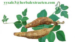 China Kudzu Root extract, Isoflavones 40%, CAS No.: 3681-99-0, Auxiliary lower blood pressure, Arctium Extract, Chinese Extrac on sale