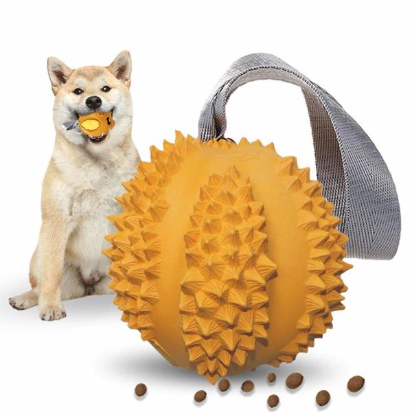 Buy Teeth Cleaning Dog Tough Chew Toys , Interactive Dog Chew Toys For Aggressive Chewers at wholesale prices