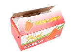 Luxury Folding Custom Size Shipping Boxes , Colored Custom Cardboard Shipping
